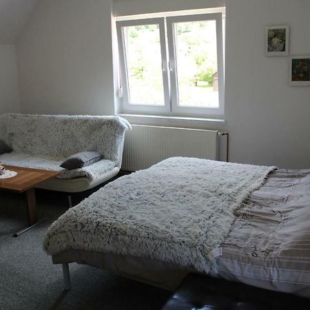 R&G Apartment Zirovnica Extérieur photo