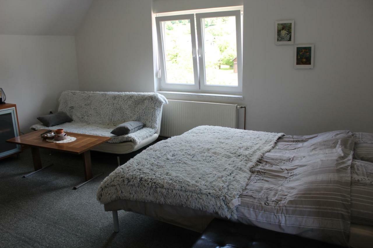 R&G Apartment Zirovnica Extérieur photo