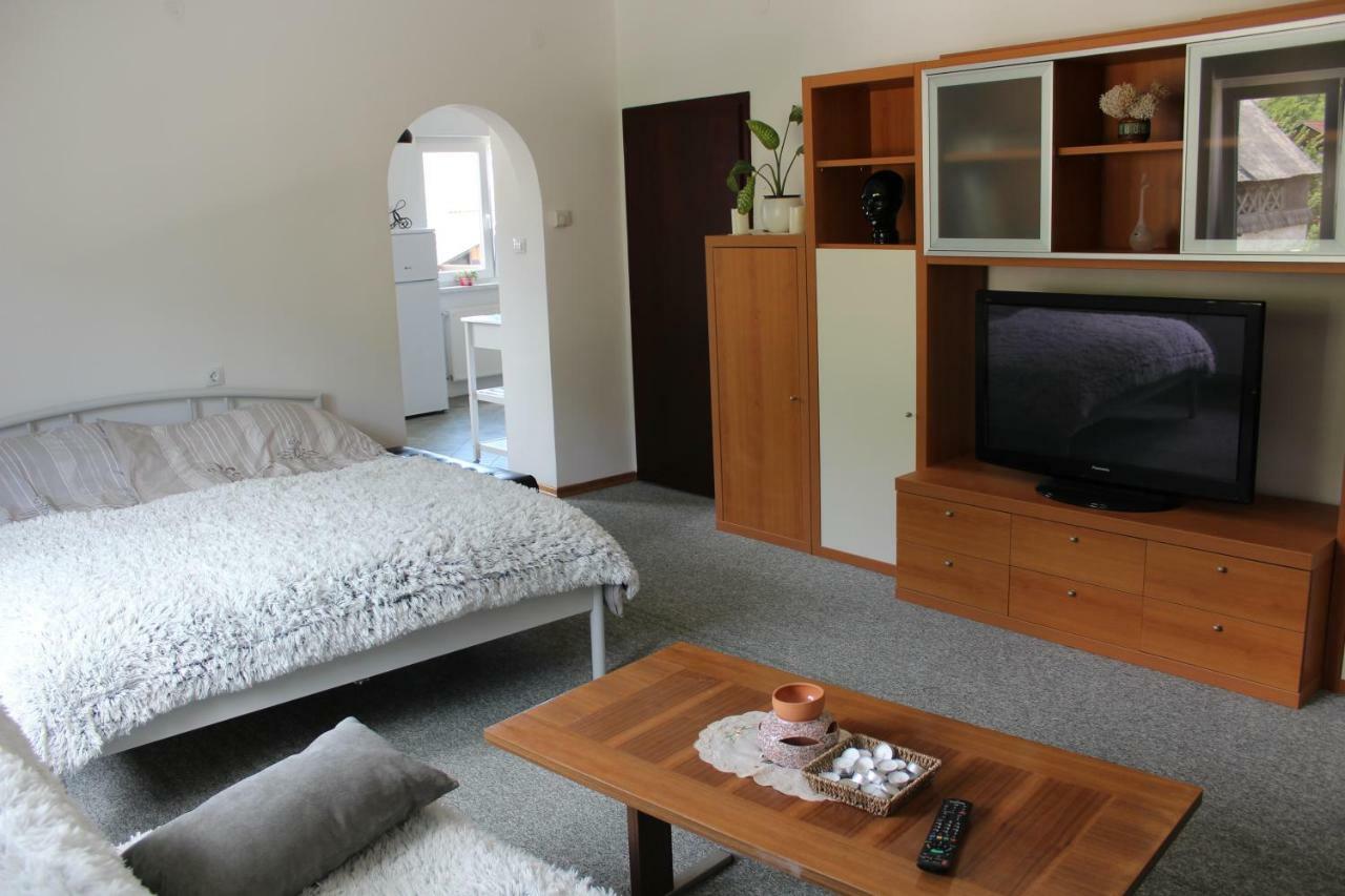 R&G Apartment Zirovnica Extérieur photo